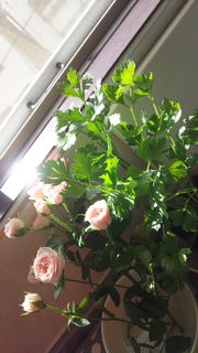100167_01.jpg 100167_01.jpg