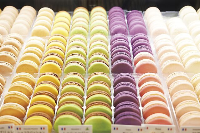 【富山グルメ】マカロンとフランス菓子の専門店『ムッシュージー』が富山市に移転リニューアル
