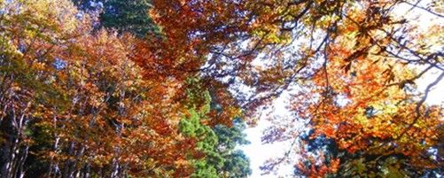 今がベストシーズン！立山の紅葉と歴史を楽しむ絶景スポットをご紹介