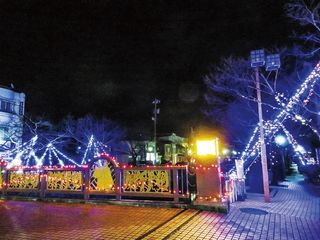 101671_10.jpg 101671_10.jpg
