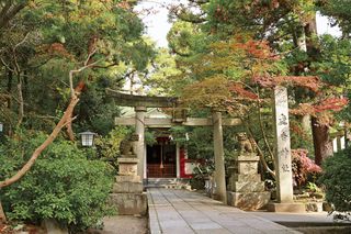 富山の初詣 今年はどこに行きますか 富山県の神社情報をまとめてご紹介 日刊オンラインタクト 富山のイベント情報を日々お届けいたします