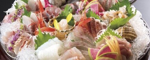 【富山の居酒屋】毎日直送！”超鮮度”な魚料理を堪能できるお店「順風満帆」