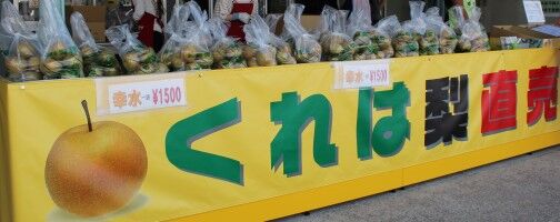 【富山のフルーツ】今が旬の呉羽梨！ 梨畑のすぐそばにある選果場の販売所へ行ってきました♪