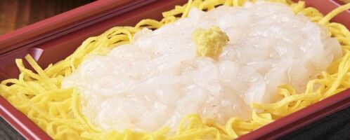 【富山の海の幸】 本日４月１日より、白えび漁解禁！ 白えび料理が堪能できるお店をご紹介