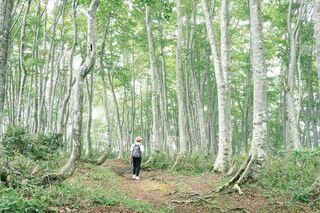 【富山の自然】登山初心者向け！ 低山からはじめる山登りをご紹介