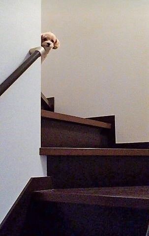 102938_07.jpg 102938_07.jpg