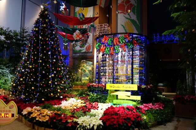 【富山イベント】砺波市で『季節を彩る花々展』が開催