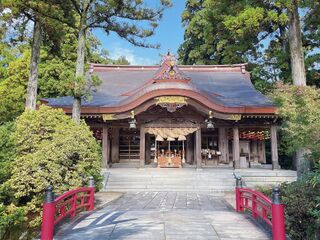 【富山の初詣】福を呼ぶ年末年始に訪れたい神社12選