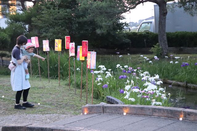 【富山イベント】南砺市で『第50回 高瀬遺跡菖蒲まつり』が開催