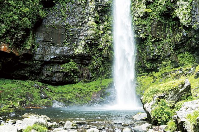 【岐阜県へ夏のぷち旅】「阿弥陀ヶ滝」を中心に自然あふれるひんやり癒し旅