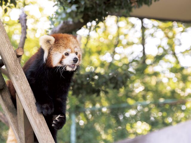 【福井へ日帰り旅】魅力満載の眼鏡の街でお気に入りを探す５つのスポット～福井県鯖江市～