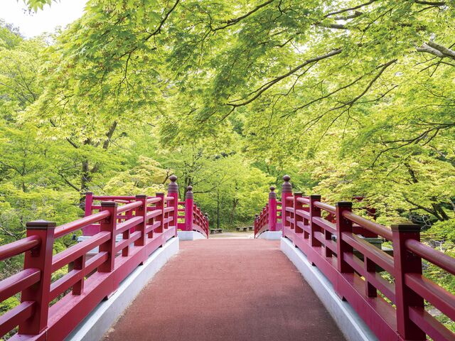 【新潟へ日帰り旅】古き良き情緒が息づく５つのスポット～新潟県弥彦村～
