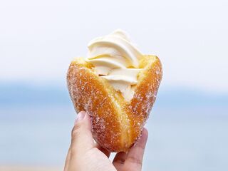 【富山のひんやりスイーツ】とろける冷スイーツ！ソフトクリーム６選