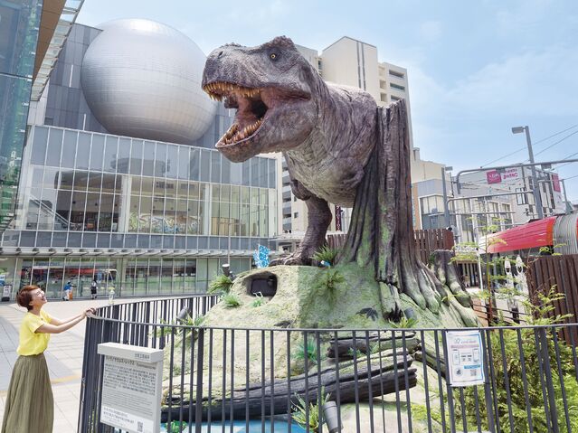 【福井へ日帰り旅】短い移動距離でコンパクトに満喫できる５つのスポット～福井県福井市～