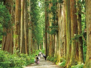 【長野へ日帰り旅】信仰、自然、食が響き合う５つのスポット～長野県長野市・戸隠～