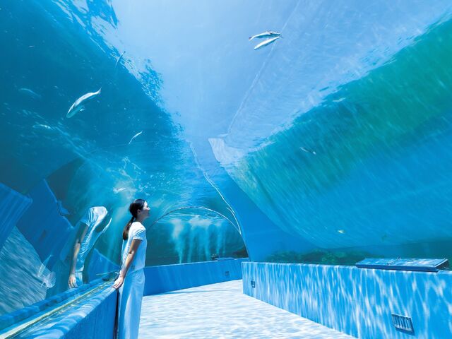 【石川へ日帰り旅】里山里海の景色に包まれる5つのスポット~石川県七尾市能登島~