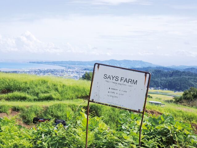 【富山のワイン】芳醇な香りに満ちた旅へ、とやまのワイン2025