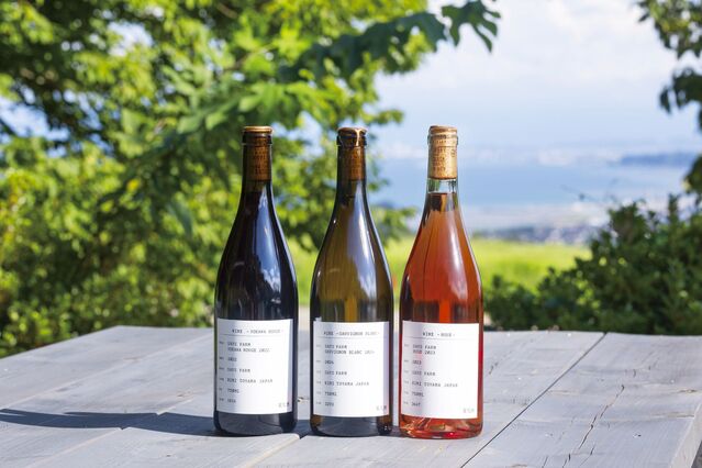 105613_02.jpg 105613_02.jpg