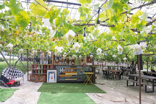 105613_08.jpg 105613_08.jpg