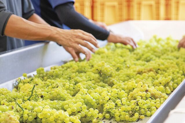 105613_13.jpg 105613_13.jpg