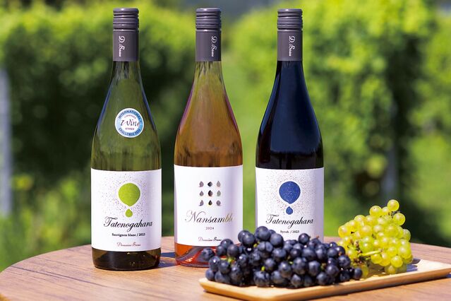 105613_15.jpg 105613_15.jpg