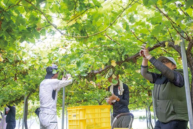 105613_20.jpg 105613_20.jpg