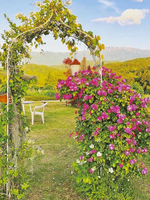 105631_08.jpg 105631_08.jpg