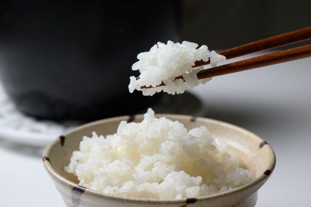 105641_04.jpg 105641_04.jpg