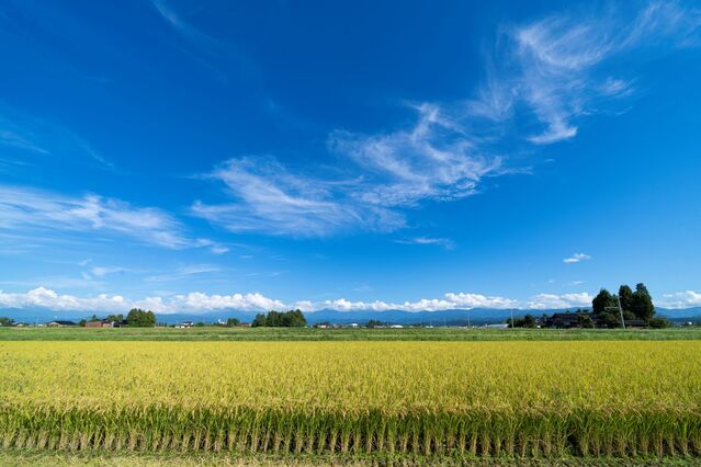 105641_06.jpg 105641_06.jpg