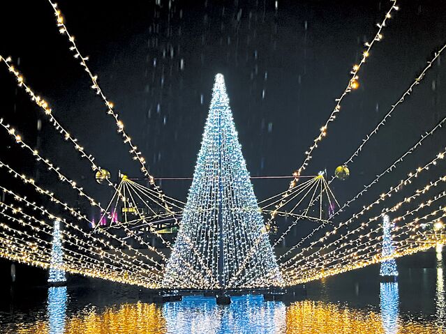 冬の夜空をやさしく照らす 富山のイルミネーション７選【2025年最新】