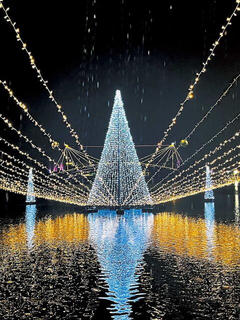 105646_02.jpg 105646_02.jpg