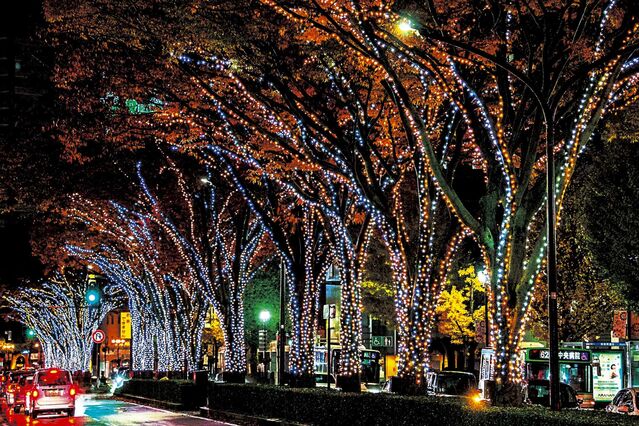 105646_04.jpg 105646_04.jpg