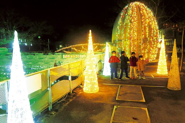 105646_12.jpg 105646_12.jpg