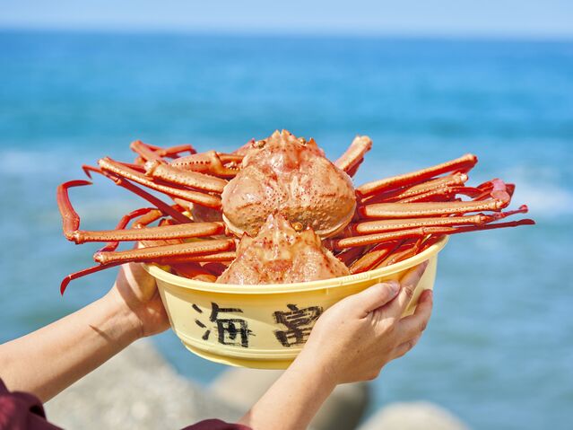 【新潟へ日帰り旅】世界有数かつ最古のヒスイの産地にある５つのスポット～新潟県糸魚川市～