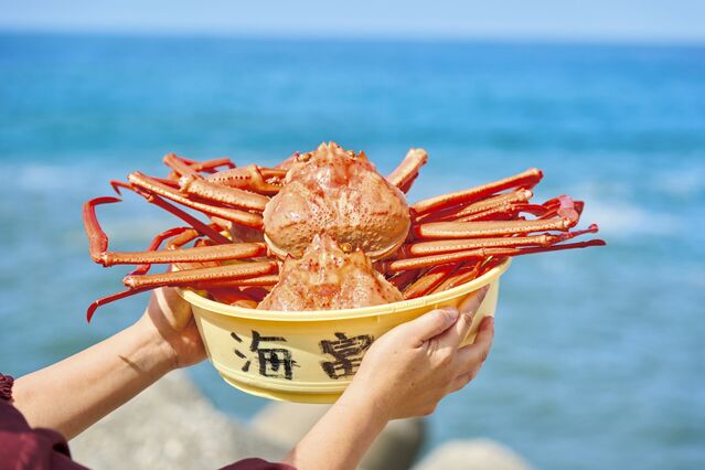 105649_03.jpg 105649_03.jpg