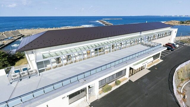 105664_03.jpg 105664_03.jpg