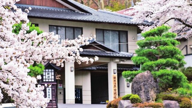 105666_06.jpeg 105666_06.jpeg