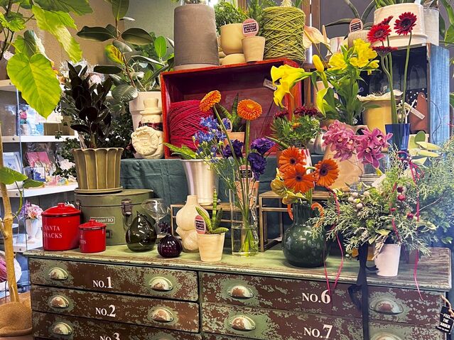 【富山のローカル街めぐり】歴史と新しい感性が息づく「射水市 小杉駅周辺」エリア