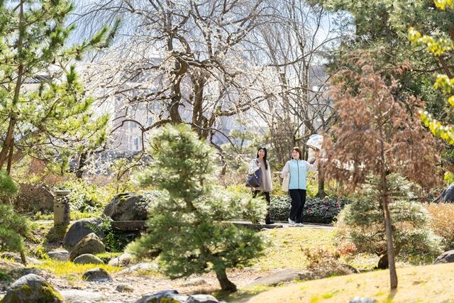 105804_05.jpg 105804_05.jpg