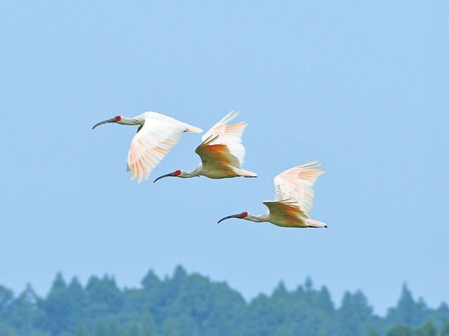 【石川へ日帰り旅】自然と人の温もりに包まれる５つのスポット～石川県羽咋市～