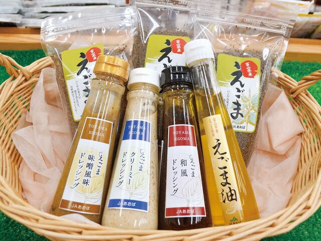 【富山のローカル街めぐり】自然と利便性が調和する「富山市 婦中町」エリア