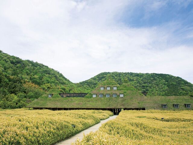【涼を求めて小旅行】この夏は、自分だけの〝涼〟を探しに【滋賀県近江八幡】