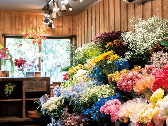 【涼を求めて小旅行】この夏は、自分だけの〝涼〟を探しに【長野県小諸市＆御代田町】