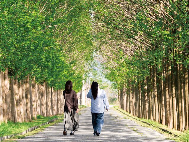 【石川へ日帰り旅】歴史ロマンあふれるドライブを楽しむ５つのスポット～石川県津幡町～