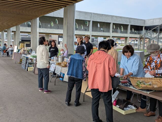 【富山イベント】氷見市で『おさんぽマルシェ』が開催